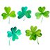 Shamrock vs. Four-Leaf Clovers: What’s the Real Difference?