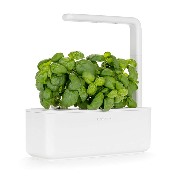 A white planter grows lush green basil under a curving light fixture, promoting indoor gardening in a modern, clean environment.