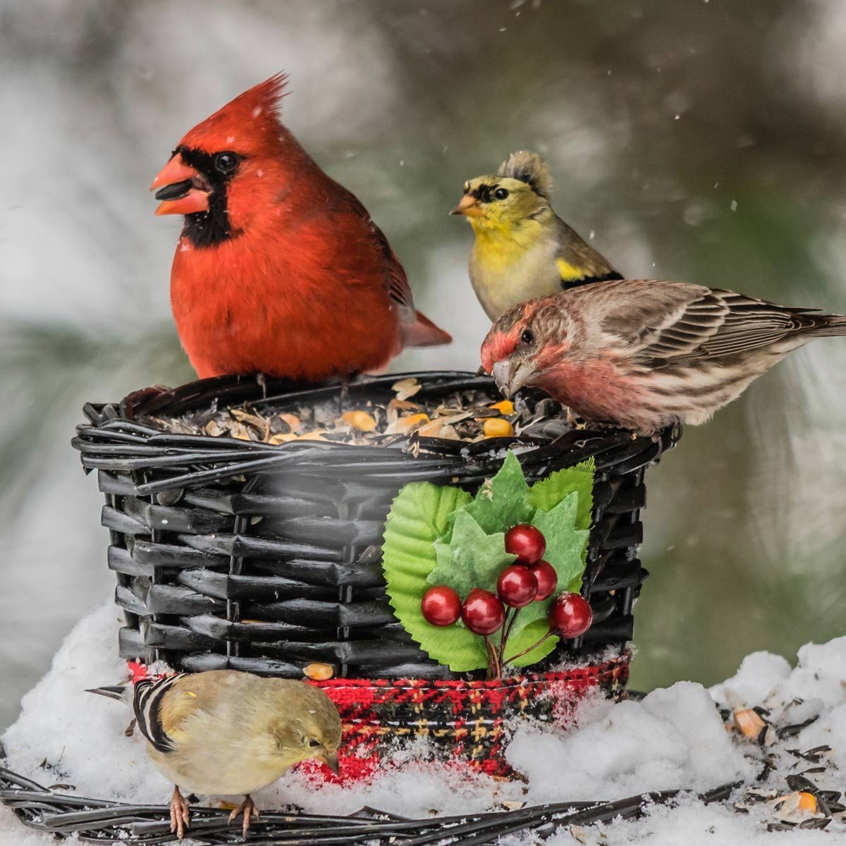 Wicker-Basket-Bird-Feeder