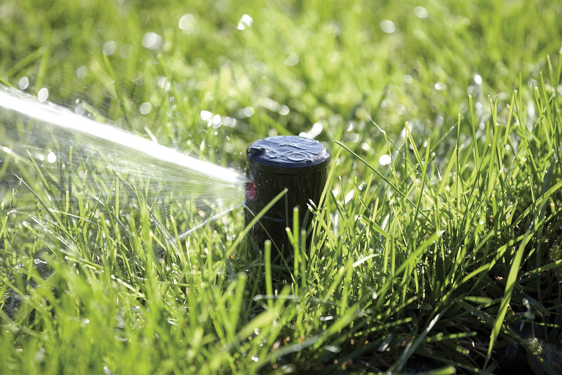 A black pop-up sprinkler head watering a lush, green lawn. The sprinkler is actively spraying water, creating a mist that glistens in the sunlight. The grass surrounding the sprinkler is healthy and vibrant.