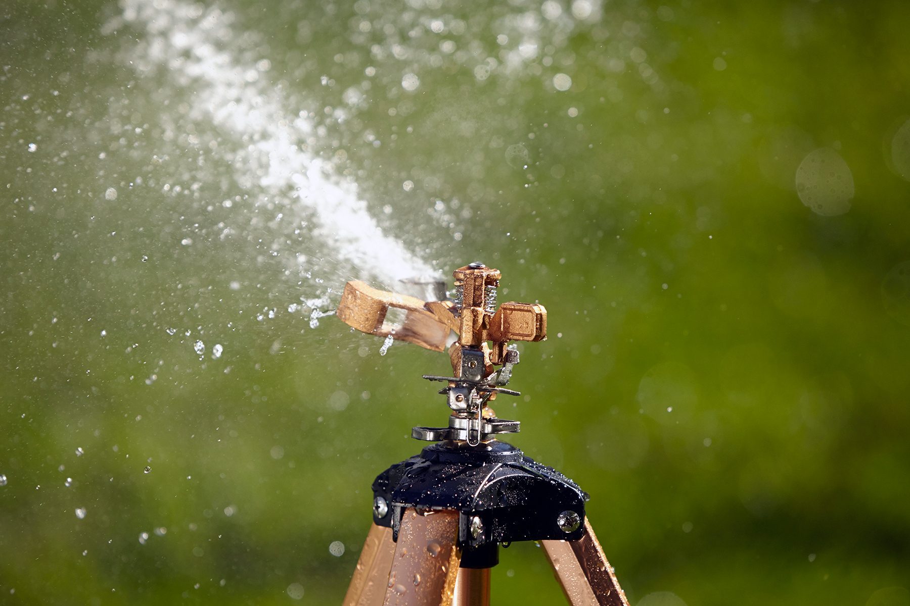 Sprinkler throwing water in lawn