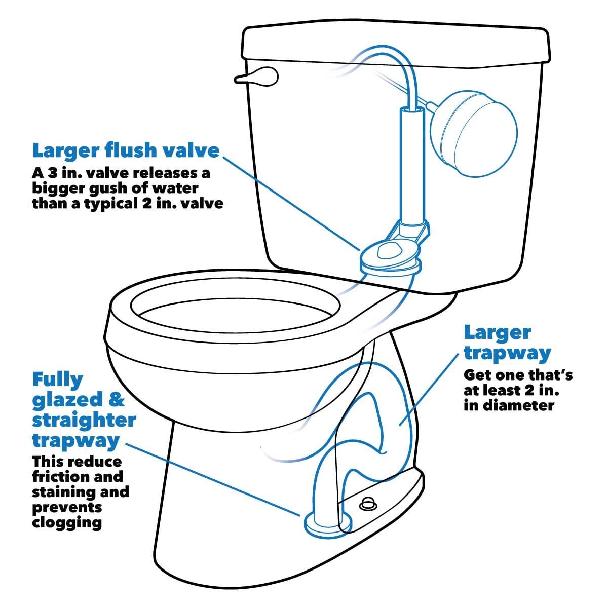 buying toilet tips anatomy