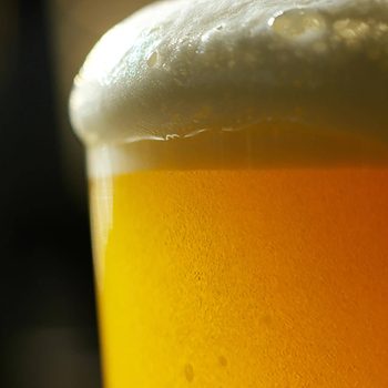 A glass of golden beer with dense foam sits prominently, reflecting light, in a softly blurred background suggesting a cozy bar environment.