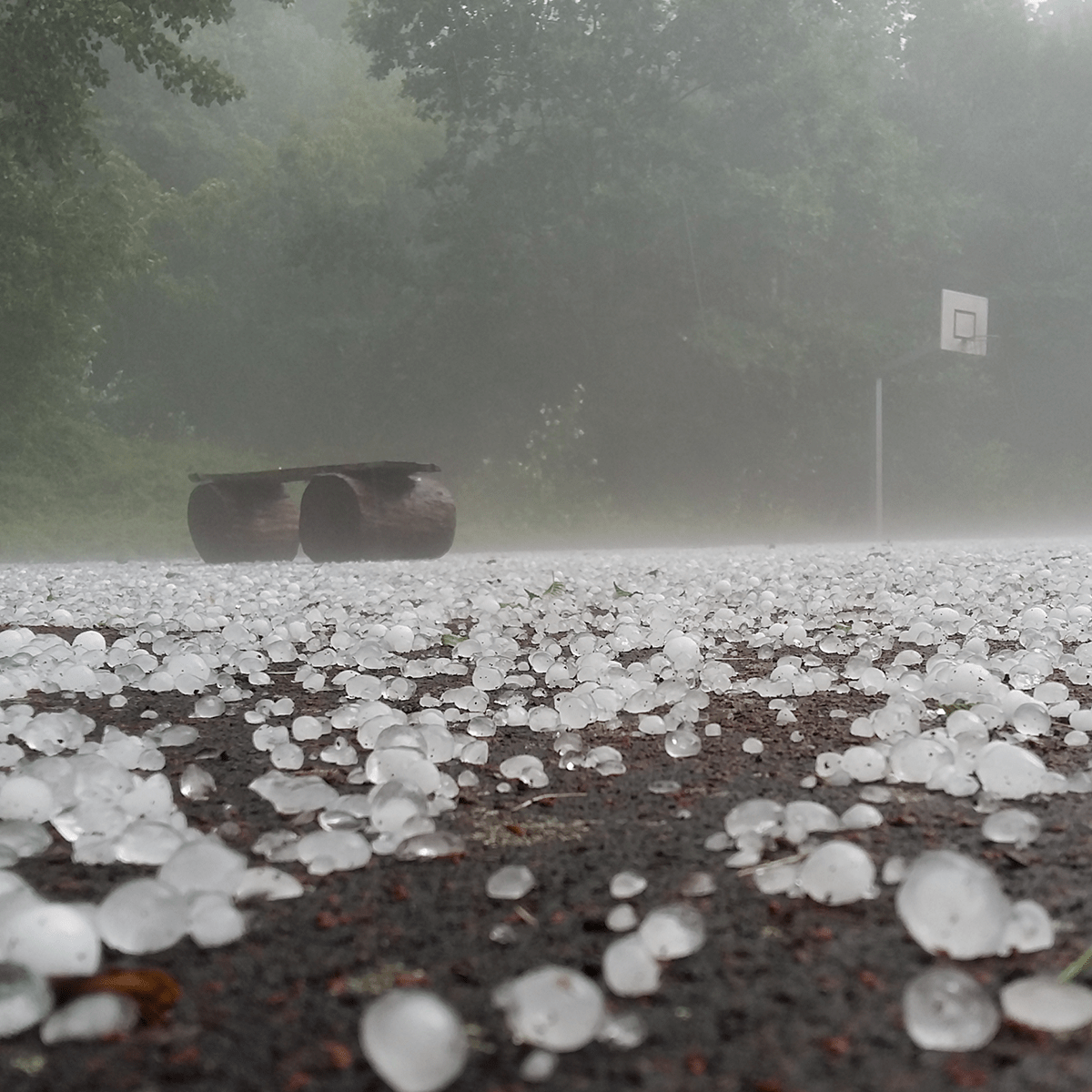 Gettyimages 667728671