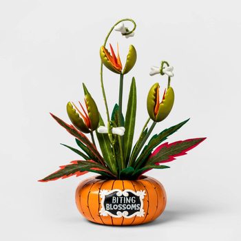 A colorful, decorative plant with unique flowers and leaves is positioned in an orange pumpkin-shaped pot, labeled "BITING BLOSSOMS," against a plain background.
