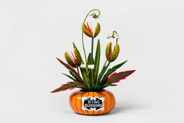 A colorful, decorative plant with unique flowers and leaves is positioned in an orange pumpkin-shaped pot, labeled "BITING BLOSSOMS," against a plain background.