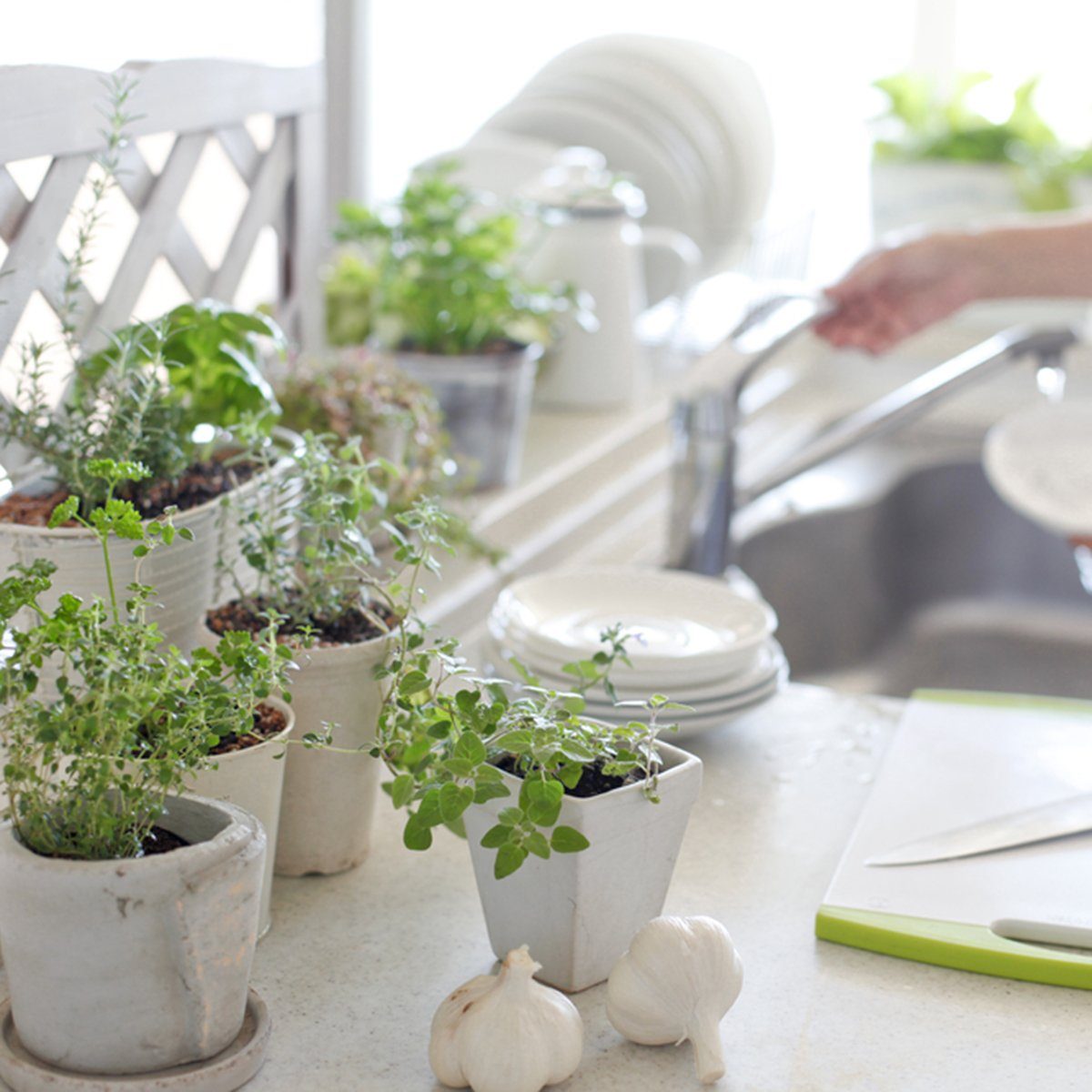 Herbs kitchen garden and woman; Shutterstock ID 159418133
