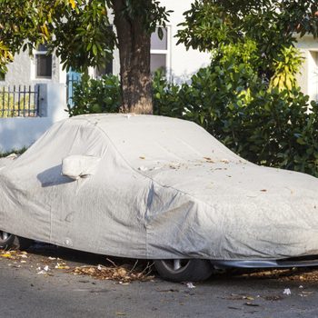 A car covered in a gray tarp sits on the roadside, surrounded by fallen leaves and greenery, with a residence in the background.