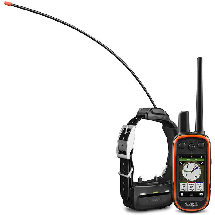A handheld GPS device and a dog collar communicator sit side by side, with antennas extended, designed for tracking and communicating with outdoor pets.