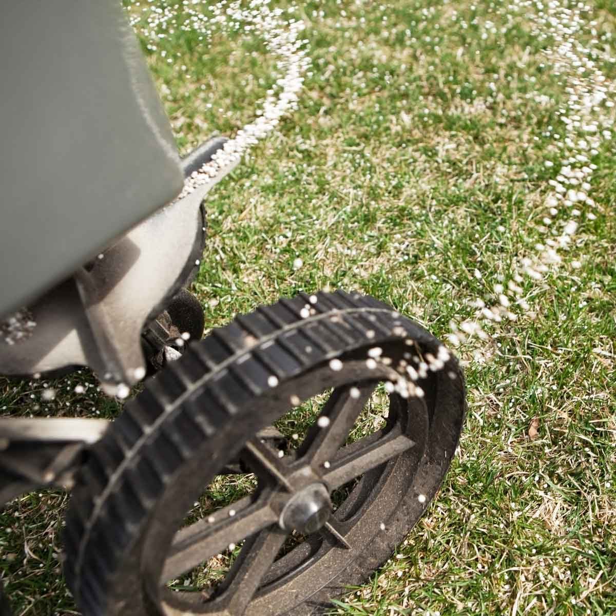 The Amazing Things Lime Can Do For Your Grass