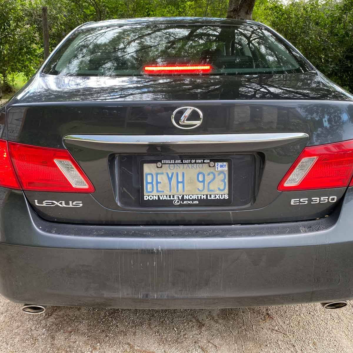 A black Lexus ES 350 is parked, displaying its rear lights and license plate, under a tree with greenery in the background.