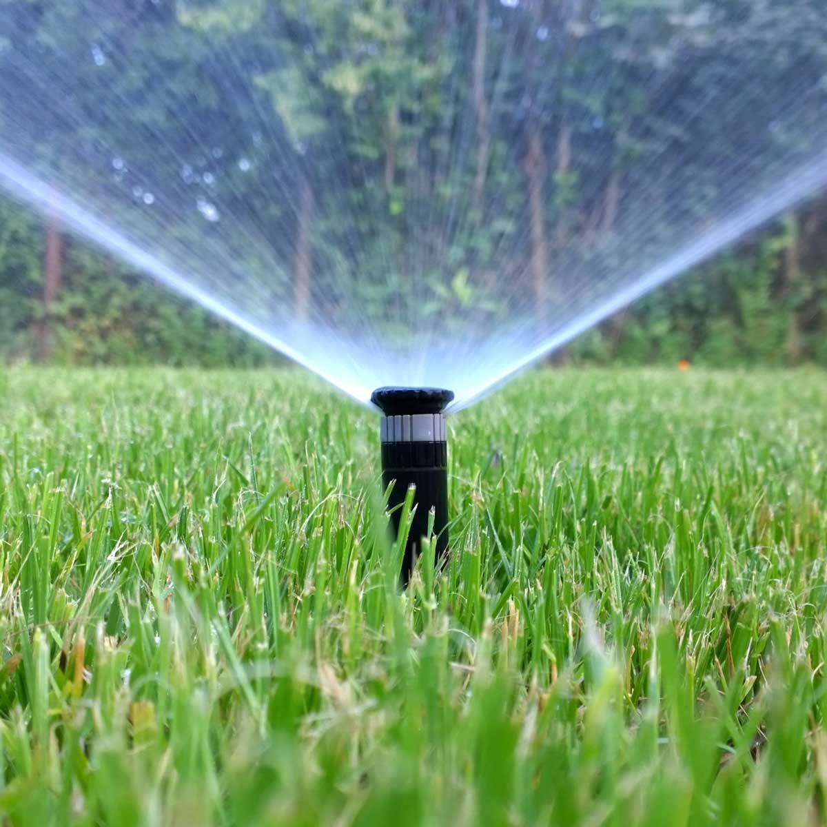 Lawn sprinkler