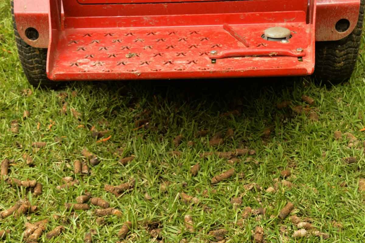 How and When to Aerate for Healthier Grass