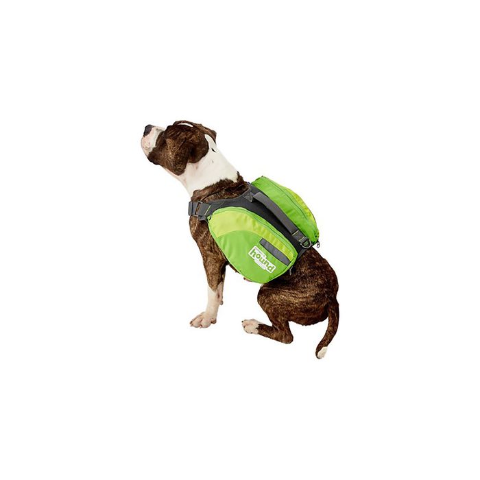 A brown and white dog wearing a green backpack sits alertly, looking upwards in a neutral background. The backpack is designed for carrying items.