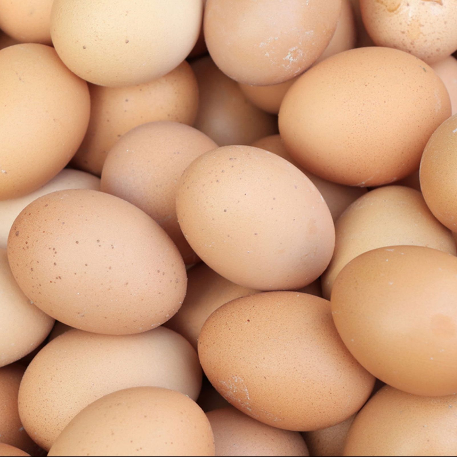 eggs