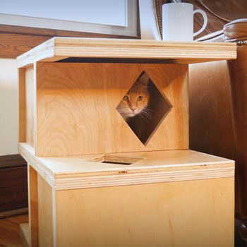 A cat peers through a diamond-shaped opening in a wooden structure, surrounded by a cozy interior, with a mug and a chair nearby.