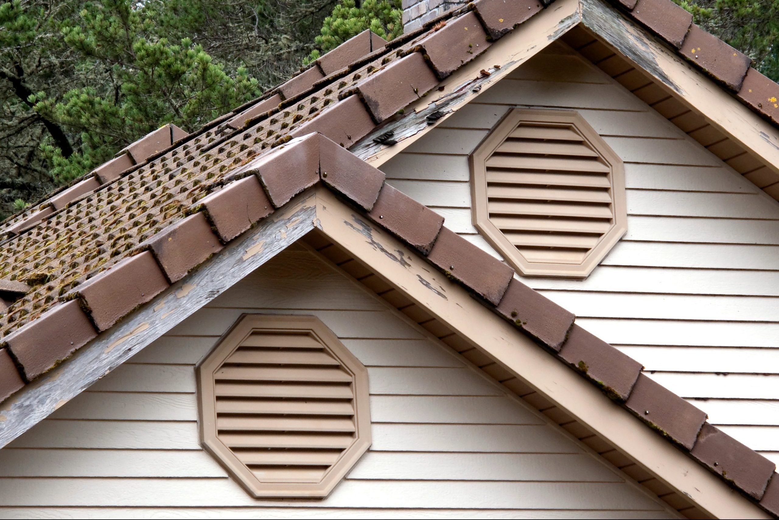 Chipped Paint Gettyimages 155388838