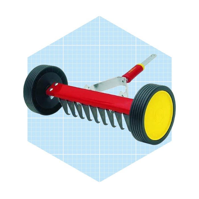 A lawn dethatcher with a red handle and yellow wheels is positioned diagonally, used for removing thatch from grass in a garden or yard.