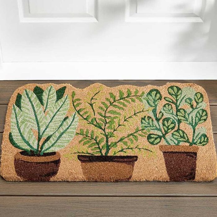 A doormat features three potted plants with green leaves, placed in front of a white door on a wooden floor.
