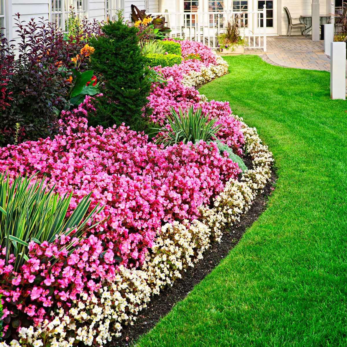 Flower Border 