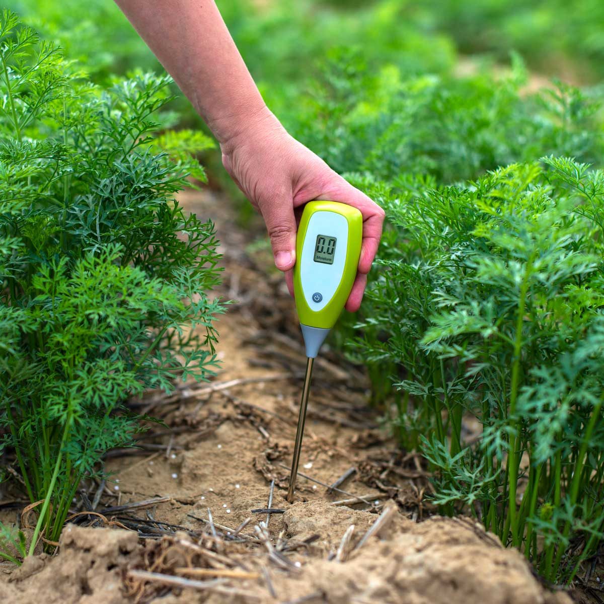 Tips for Making Your Soil More or Less Acidic