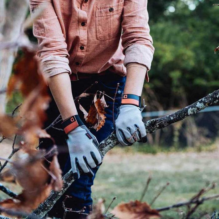 A person wearing gloves is gripping a tree branch, surrounded by fallen leaves and greenery in a natural outdoor setting.