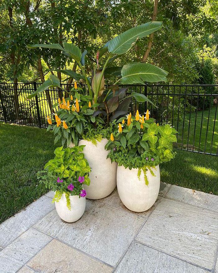 Landscaping With Pots