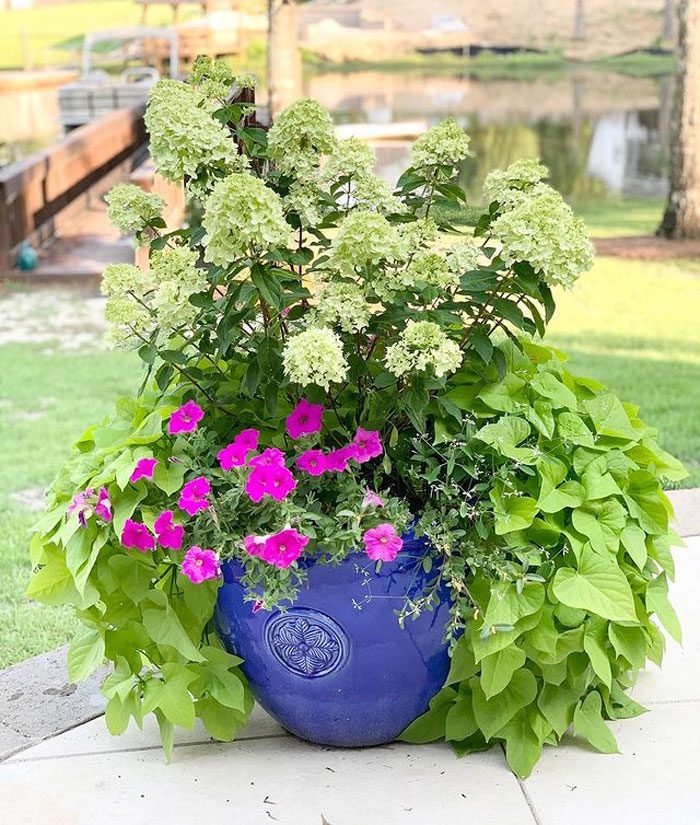 Mixed planter