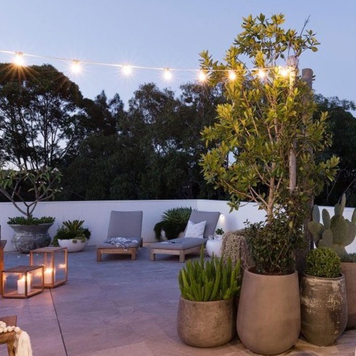 Landscaping With Pots