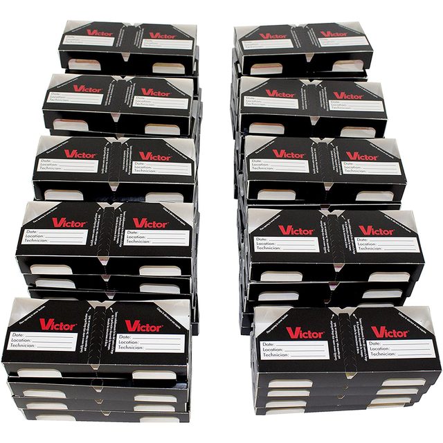 Boxes labeled "Victor" are stacked neatly in rows, indicating organizational storage for tools or equipment, with visible labels for recording details.