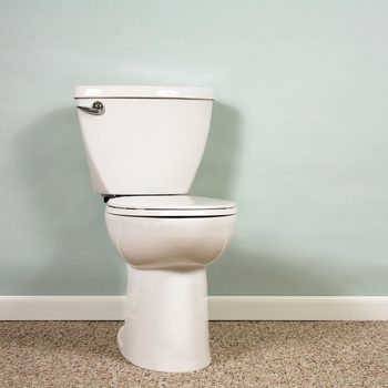 A white toilet sits on a carpeted floor against a pale green wall, positioned for use in a bathroom setting.