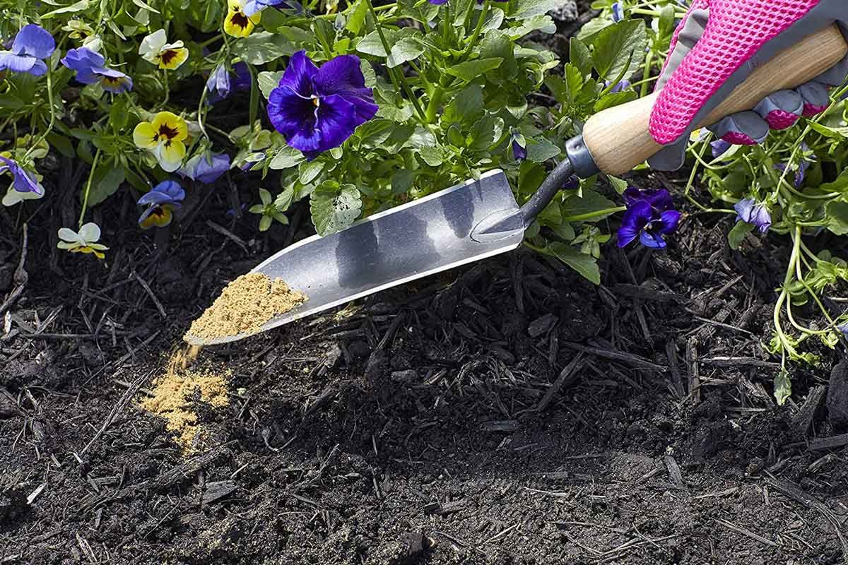 Tips for Fertilizing Flowers With Bone Meal