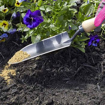 A hand with a pink glove scoops soil using a trowel, adding it to dark soil among colorful flowers in a garden.