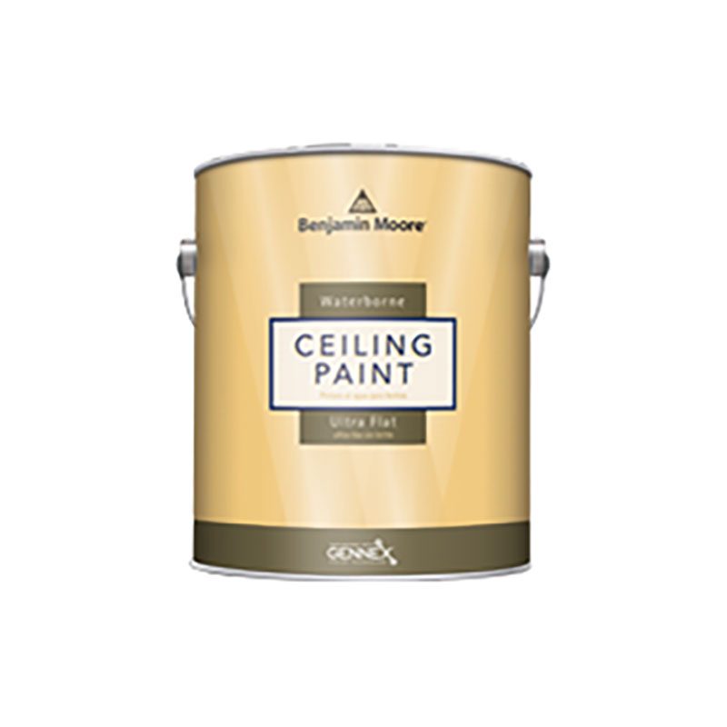 Ceiling Paint