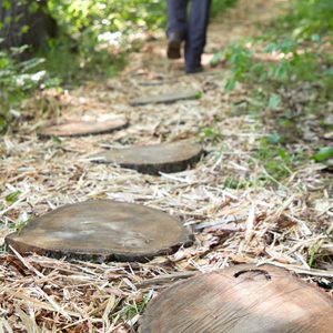 Wooden stumps form a path on a forest trail, while a person walks along, surrounded by greenery and scattered wood chips.