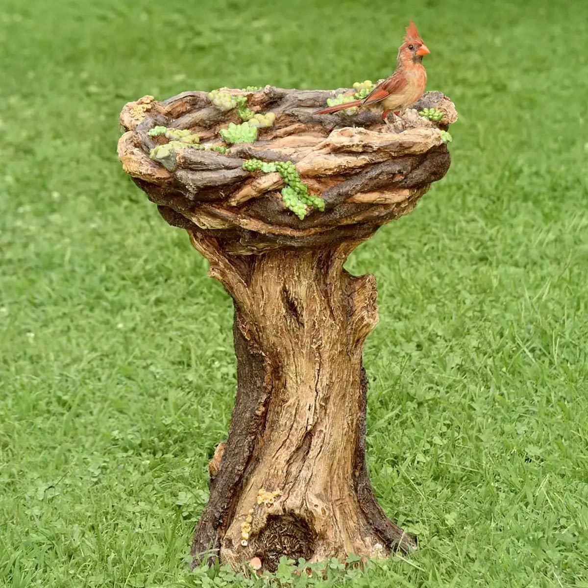 Succulent Bird Nest Tree Stump Birdbath