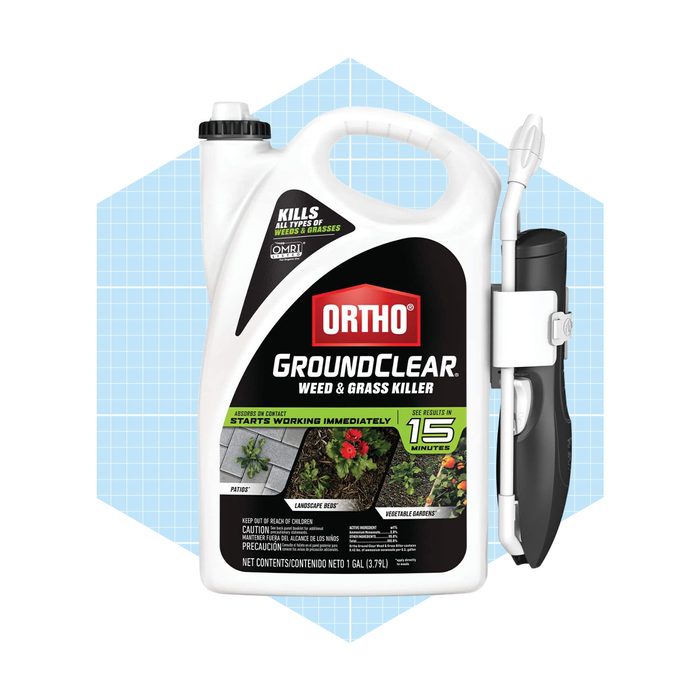 A spray bottle of weed and grass killer is positioned against a light blue background, showcasing its label and attached sprayer for easy application.