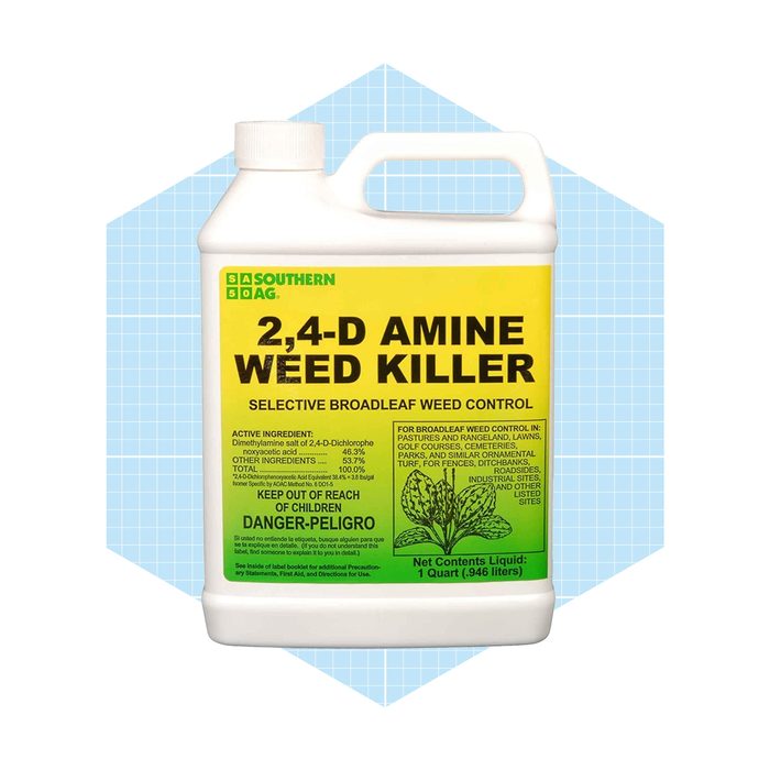 A white plastic jug labeled "2,4-D Amine Weed Killer" sits on a light blue background, indicating it