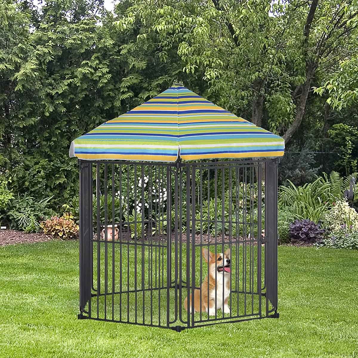 Dog Kennel
