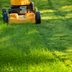 What Is the Best Height to Cut Grass? What to Know