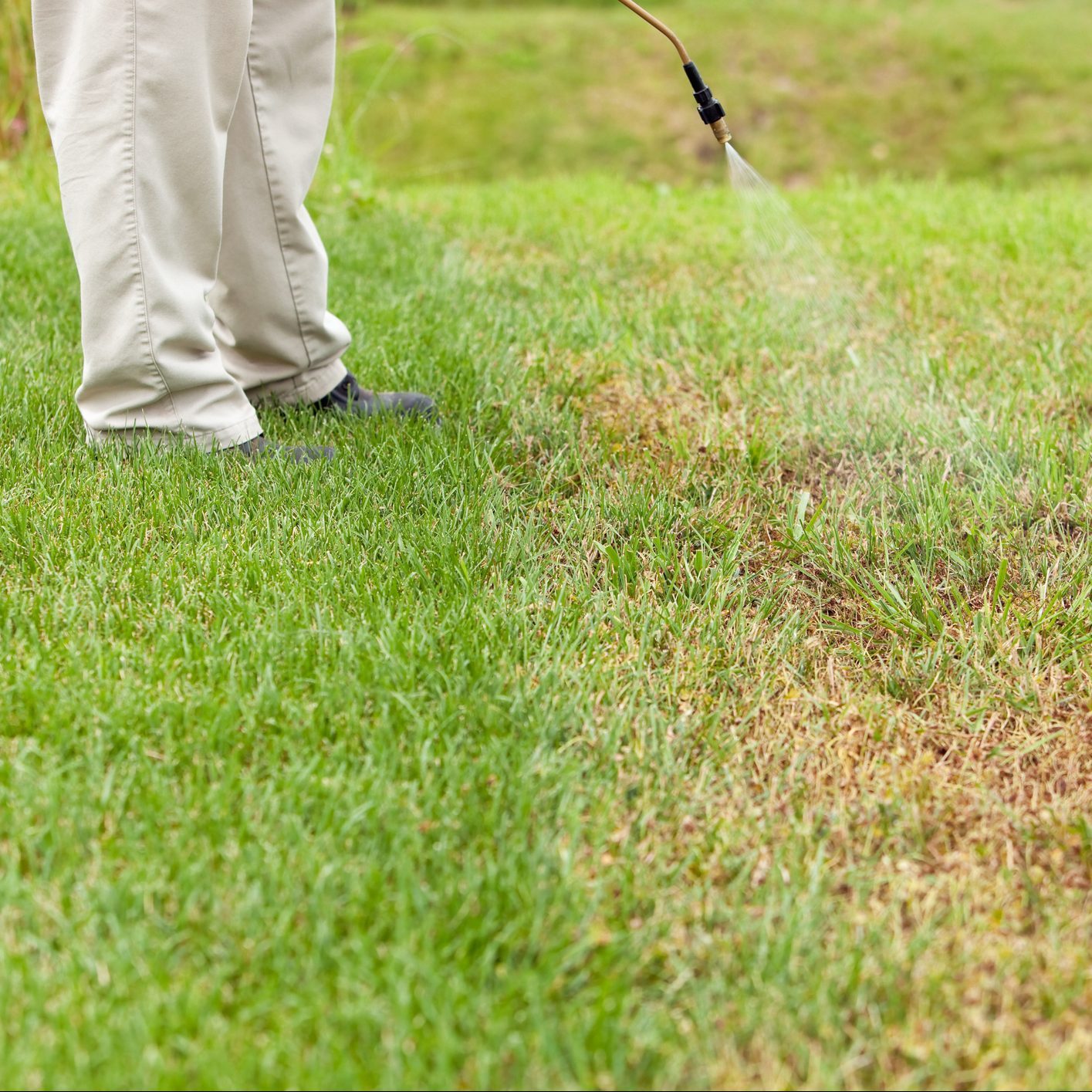 Lawn Care Worker Sprays Crabgrass