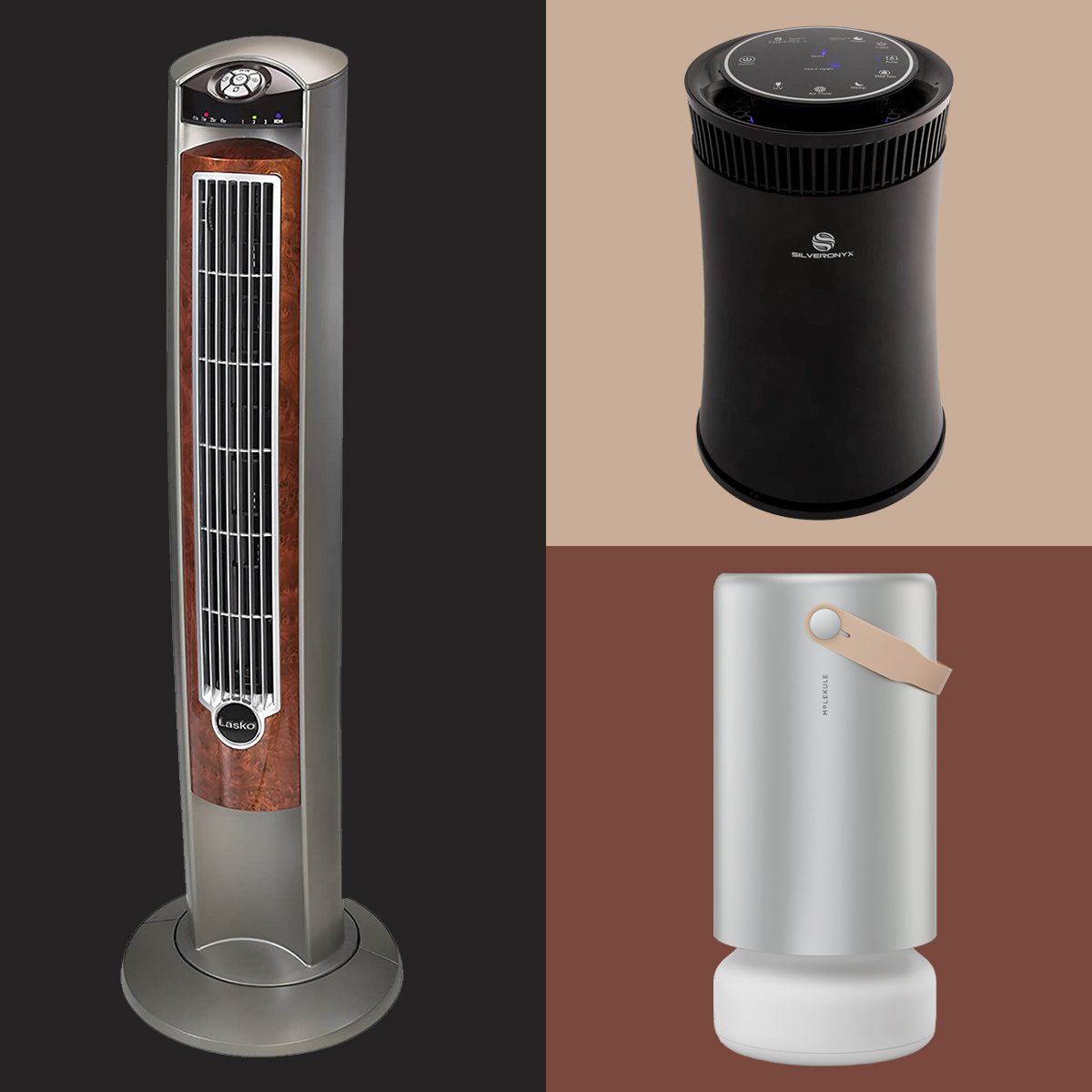 Best Air Ionizers of 2025