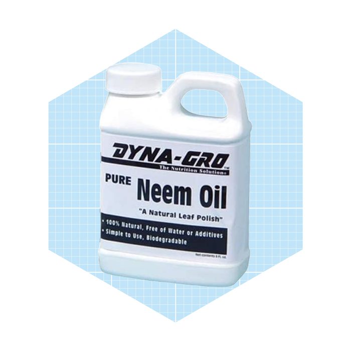 A white plastic container labeled "Pure Neem Oil" sits against a light blue grid background, indicating it