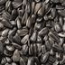 What Are Black Oil Sunflower Seeds?