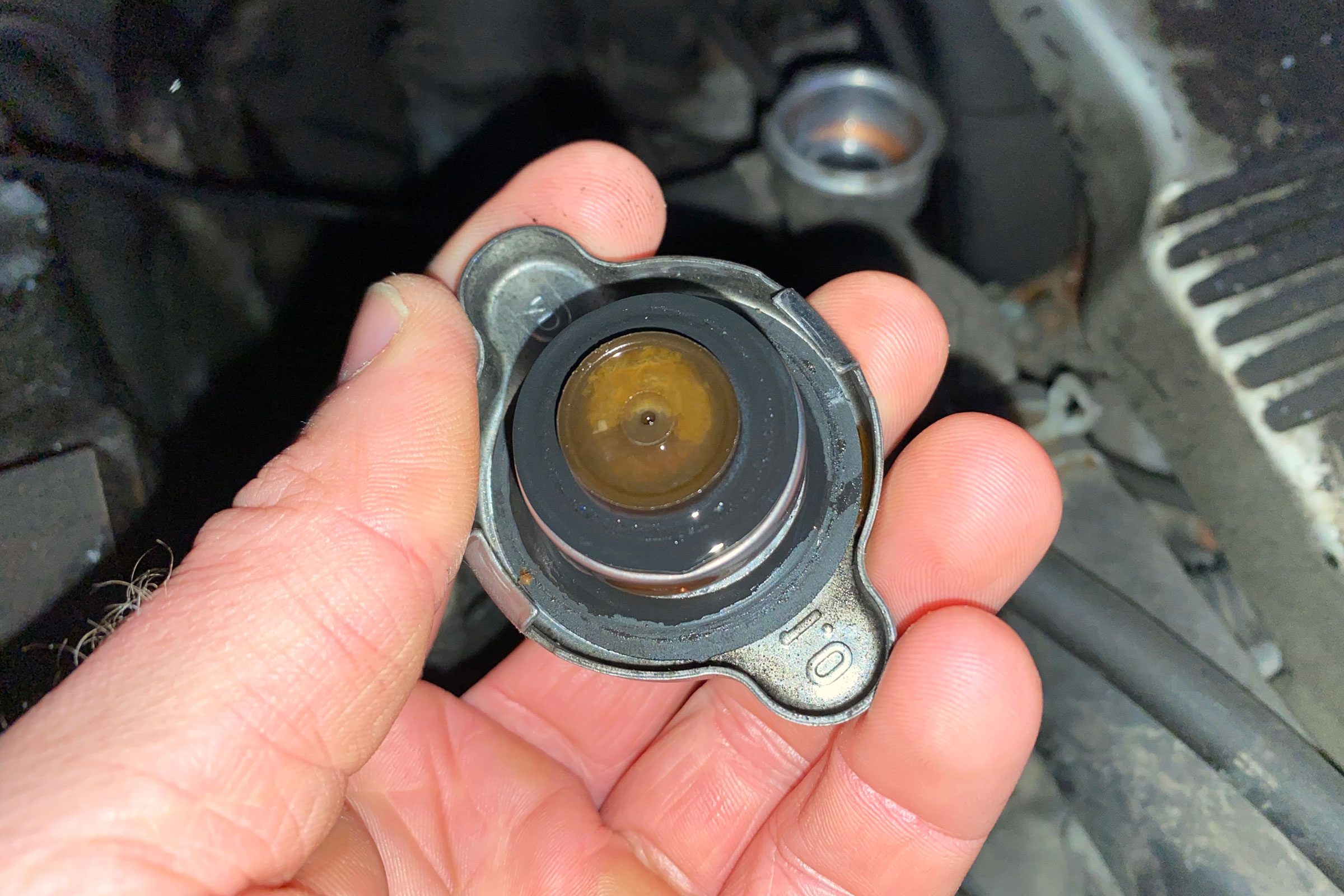radiator Cap