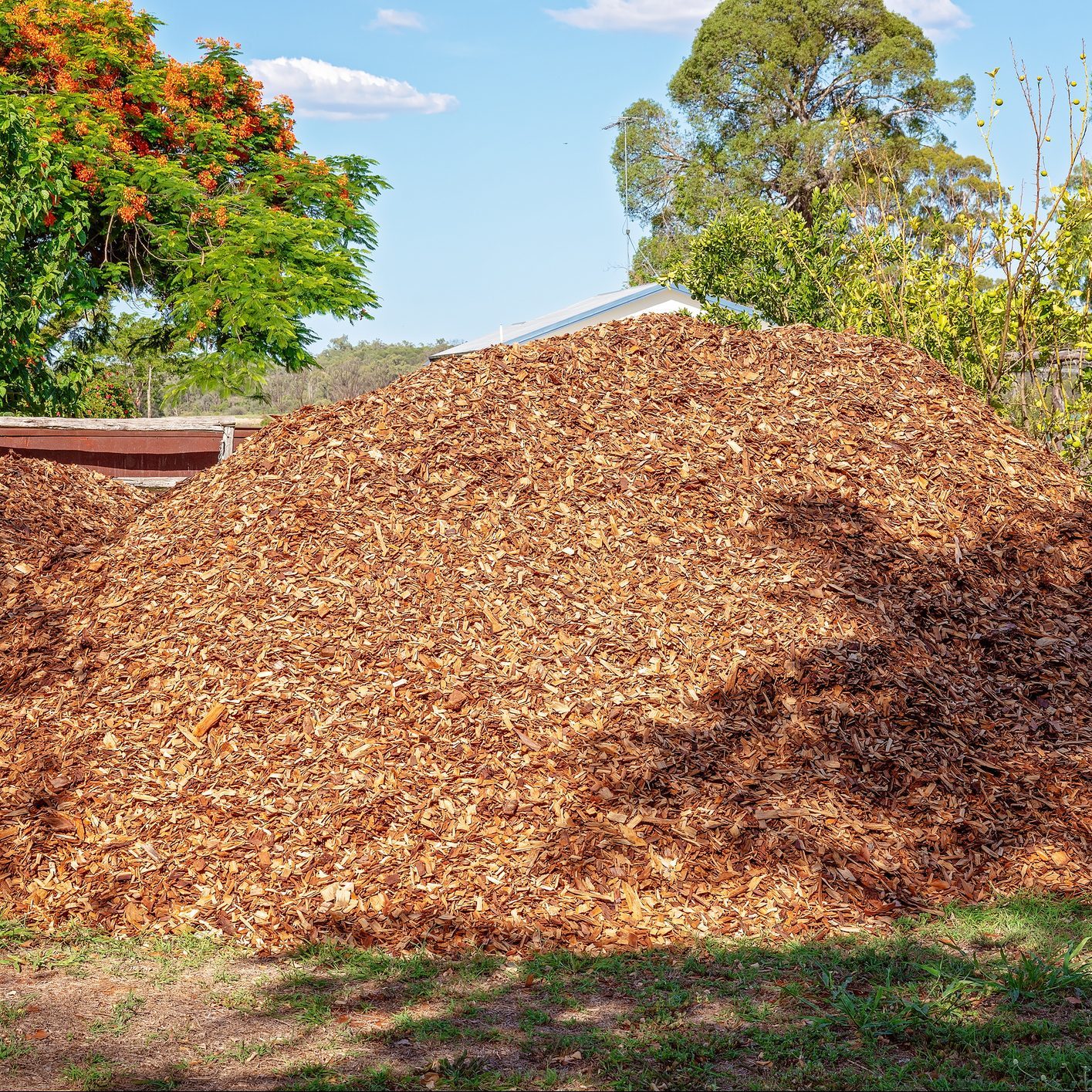 Wood Chip Pile In Garden
