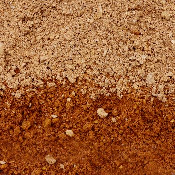 Layered soil displays distinct textures: the upper layer is light-colored and gritty, while the lower layer is darker and more coarse, indicating different soil types.