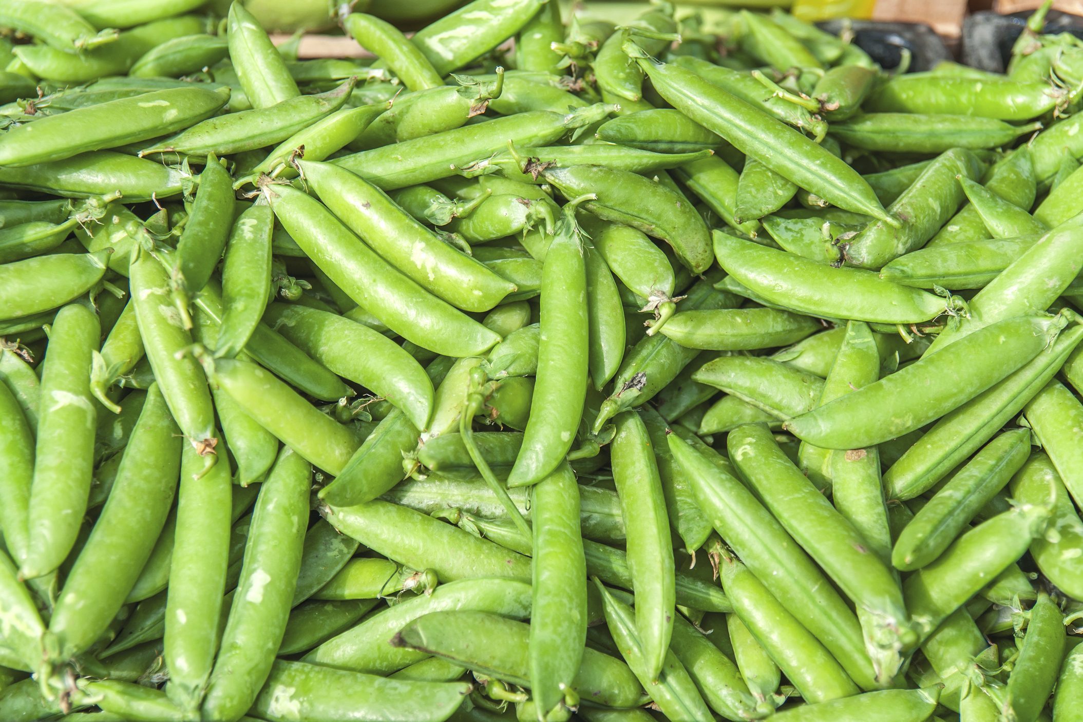 Fresh helathy green vegetable bean on market ready for selling