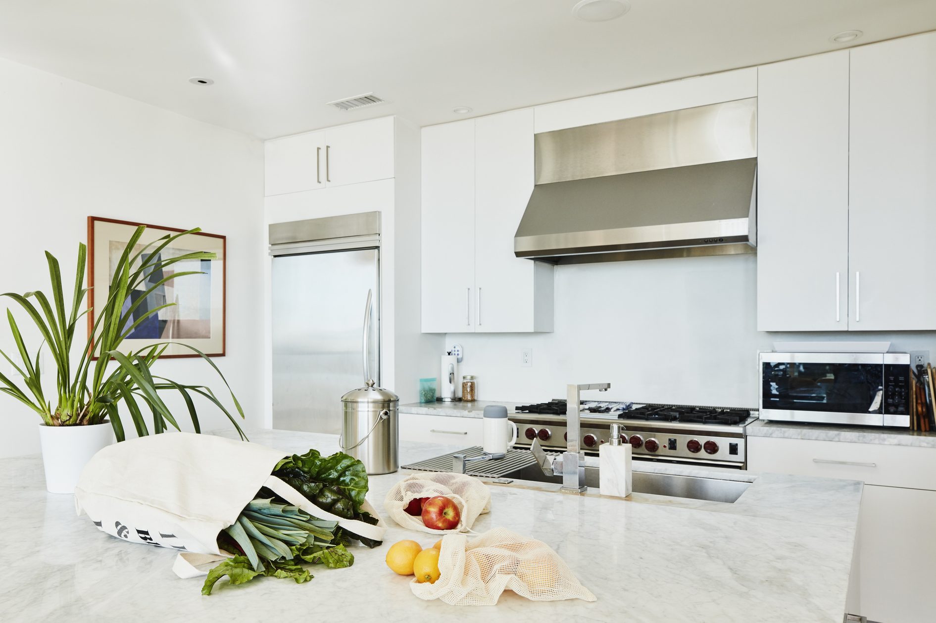 A bag of fresh vegetables sits on a marble counter, surrounded by fruits, a plant, and kitchen appliances in a modern, bright kitchen.