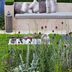 11 Unusual Gardens Ideas To Consider